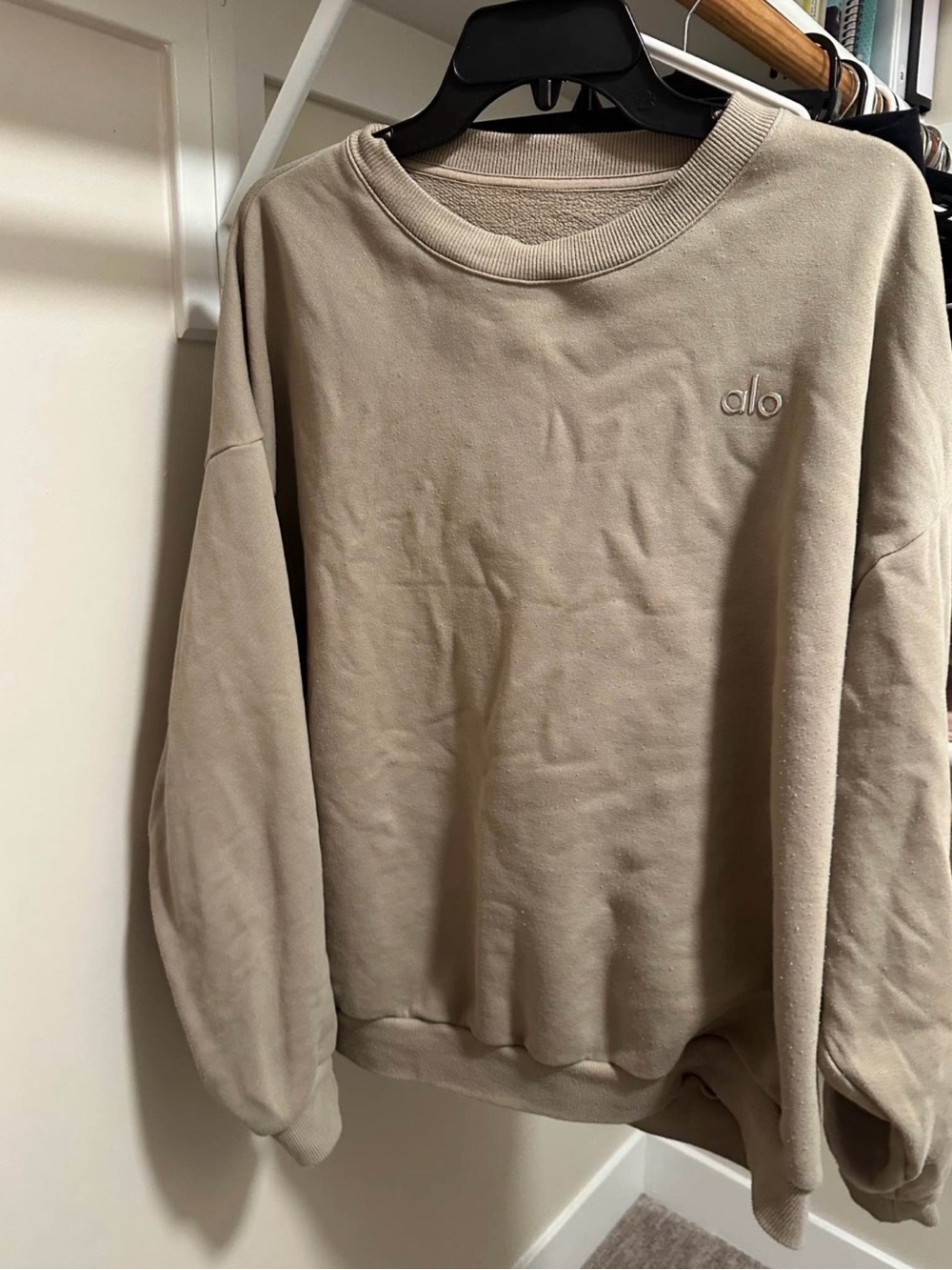 Alo Women's Crewneck Sweatshirt in Taupe